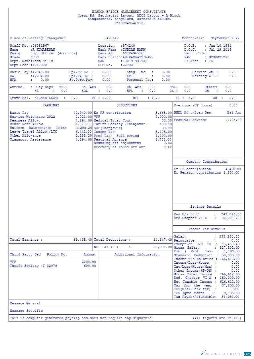 Download Wisdom Bridge Management Consultants payslip template in Word and PDF formats.pdf, 1 Photoshop template